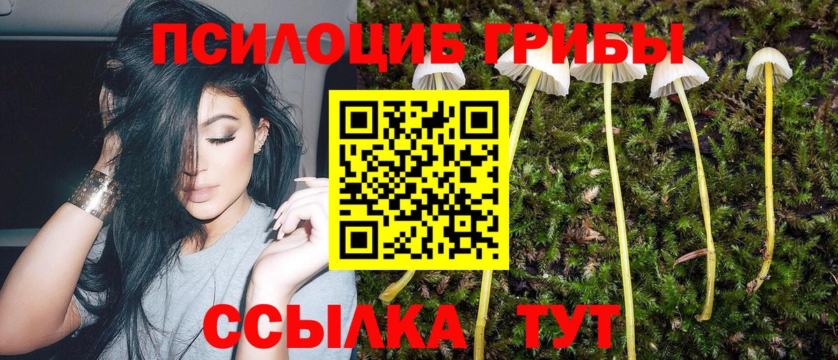 Галлюциногенные грибы ЛСД  Вход с VPN  Псилоцибиновые грибы ЛСД  Иваново 